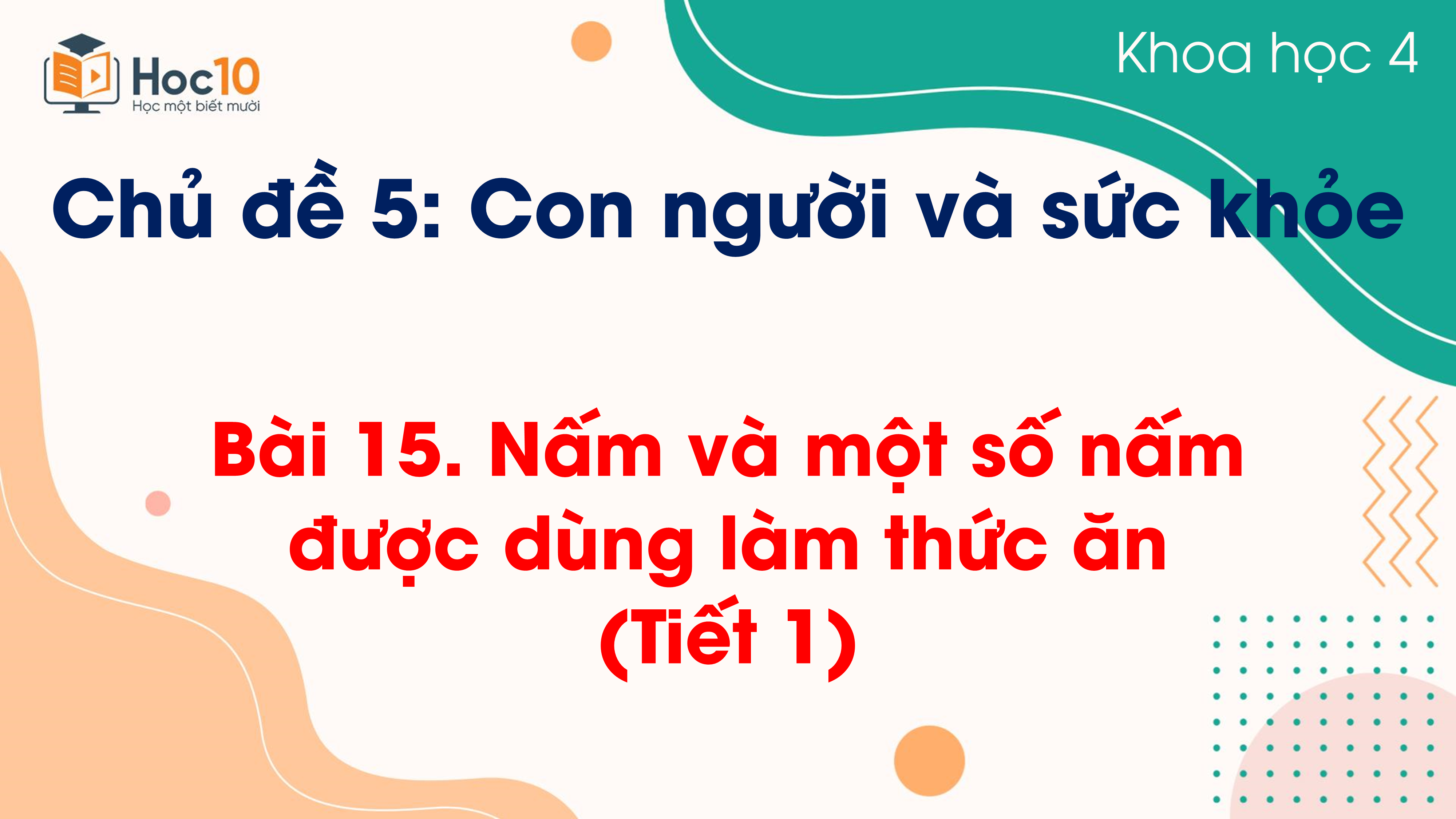 Chủ đề 4 - Bài 15 Nấm và một số nấm được dùng làm thức ăn (Tiết 1)